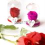 rosa eterna incanto stabilizzata e personalizzata